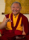 Crestone In Person, Oct 24-26, 2025, with Ringu Tulku Rinpoche