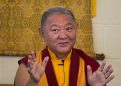 Crestone Online Zoom, Oct 24-26, 2025, with Ringu Tulku Rinpoche