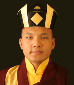 Gyalwang Karmapa
