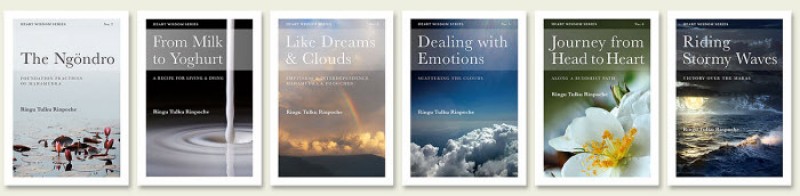 Heart Wisdom Series Set