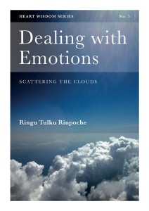Heat Wisdom - Dealing with Emotions
