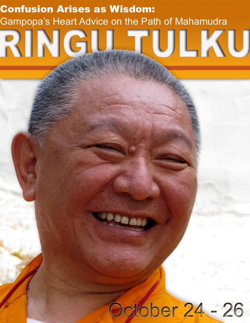 Ringu Tulku at KTD