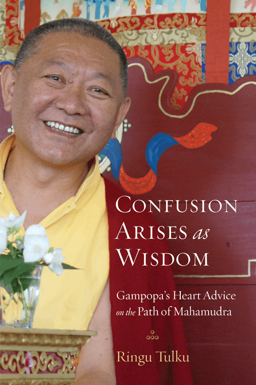 Confusion Arises as Wisdom Ringu Tulku Rinpoche