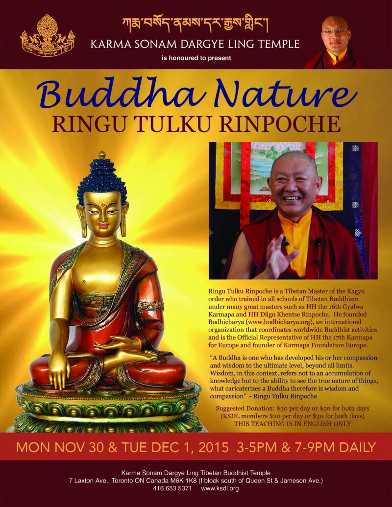 RINGU TULKU poster small