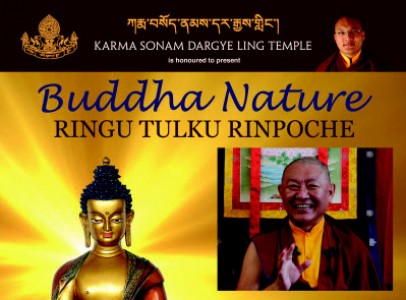 RINGU TULKU poster small-cr