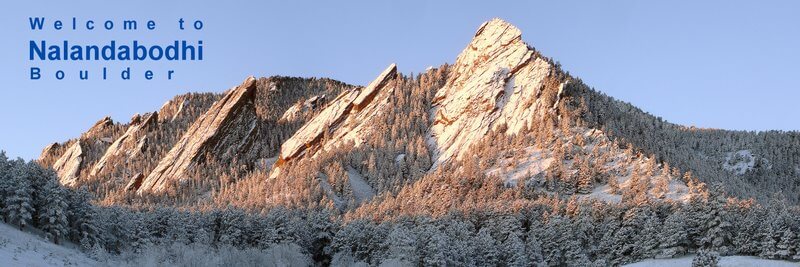 ringu tulku at nalanda bodhi